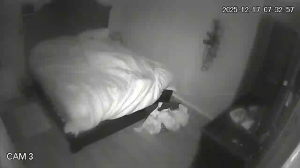 Caméra IP - Vereinigte Staaten von Amerika