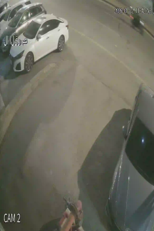 Caméra IP - Saudi Arabia