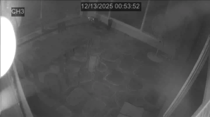 Caméra IP - República de Corea