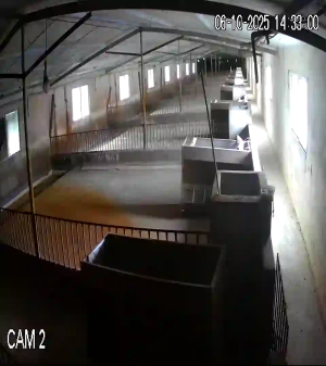 Caméra IP - Vietnam