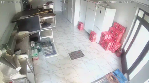 Caméra IP - Bulgarie