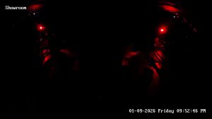 Caméra IP - Vereinigte Staaten von Amerika