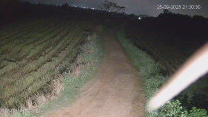 Caméra IP - Vietnam