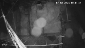 Caméra IP - Islande