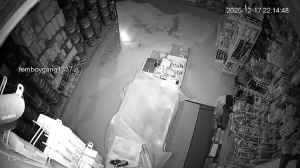 Caméra IP - Francia