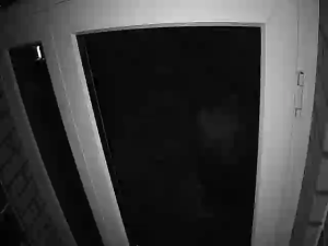 Caméra IP - Alemania