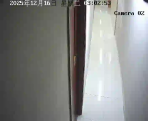 Caméra IP - Hong Kong