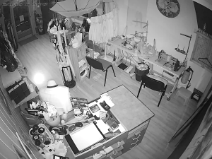 Caméra IP - Francia