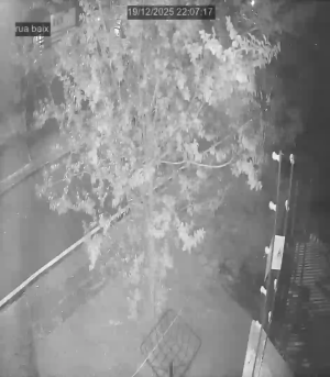 Caméra IP - Brésil