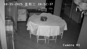 Caméra IP - China