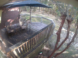 Caméra IP - Estados Unidos