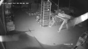 Caméra IP - Bulgarien