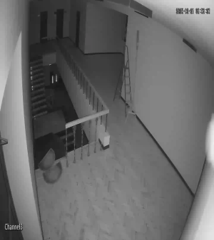 Caméra IP - Armenia