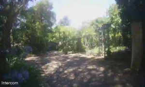 Caméra IP - Australien