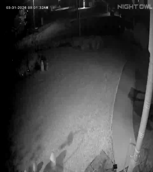 Caméra IP - United States of America