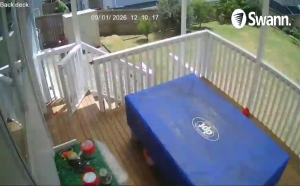 Caméra IP - Nuova Zelanda