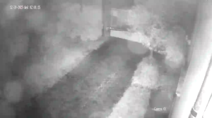 Caméra IP - Hongrie