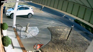 Caméra IP - United States of America