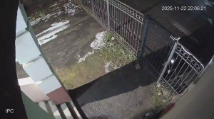 Caméra IP - Russische Föderation