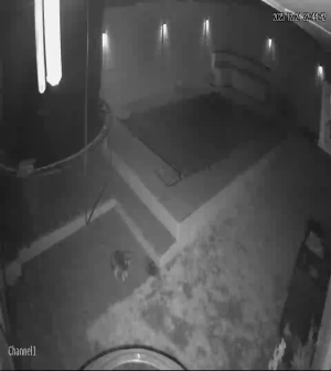 Caméra IP - Sudáfrica