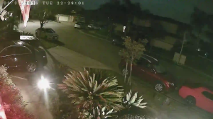 Caméra IP - United States of America