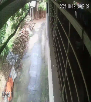 Caméra IP - Vietnam