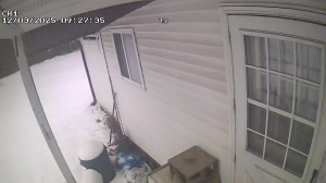 Caméra IP - Vereinigte Staaten von Amerika