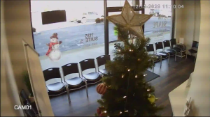 Caméra IP - United States of America