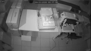 Caméra IP - Russian Federation