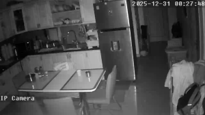 Caméra IP - Vietnam