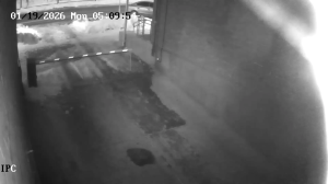 Caméra IP - Russian Federation