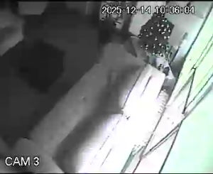 Caméra IP - Argentinien