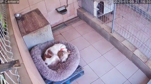 Caméra IP - Espagne