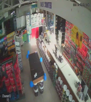 Caméra IP - South Africa