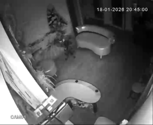 Caméra IP - Russian Federation