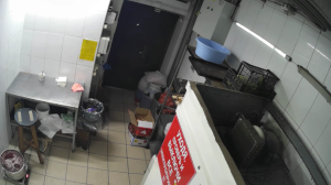 Caméra IP - Russische Föderation