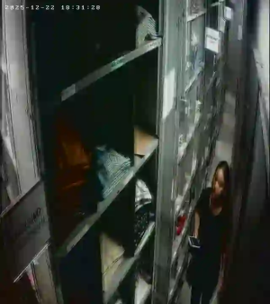 Caméra IP - Brasilien