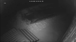 Caméra IP - United States of America