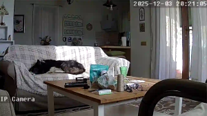 Caméra IP - Türkei