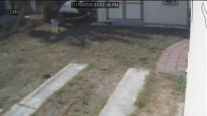 Caméra IP - United States of America