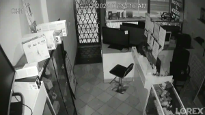 Caméra IP - Kanada
