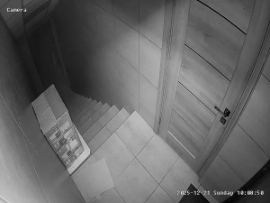 Caméra IP - Ucrania