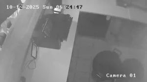 Caméra IP - Südafrika