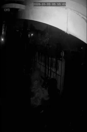 Caméra IP - St. Lucia