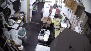 Caméra IP - Estados Unidos