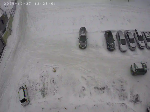 Caméra IP - Russian Federation