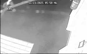 Caméra IP - Australia