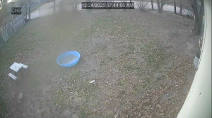 Caméra IP - États-Unis d'Amérique