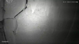 Caméra IP - Malaisie