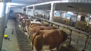 Caméra IP - Deutschland